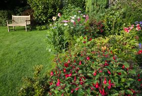 konserwacja ogrodów, GoldGarden Wojciech Pastuszak, Ostrów Wielkopolski