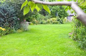 prace ogrodowe, GoldGarden Wojciech Pastuszak, Ostrów Wielkopolski