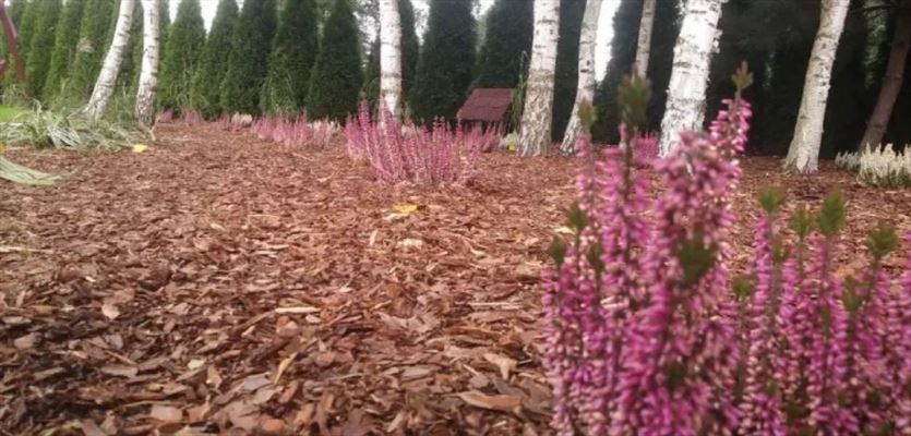 Projektowanie i zakładanie ogrodów, Stylowe Ogrody Honorata Twarda, Kuźnica Bobrowska