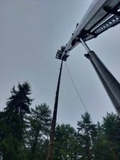 usługi podnośnikiem, Wycinka drzew - REXMARK, Jedlicze A