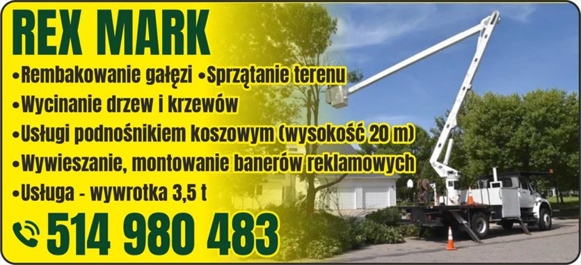 Realizujemy prace wysokościowe oraz pomagamy w porządkowaniu działek, Wycinka drzew - REXMARK, Jedlicze A