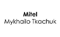 Mitel Mykhailo Tkachuk, Łódź