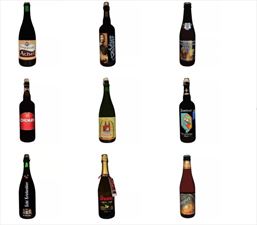 piwa belgijskie, Zofmar Bis s.c., Łódź