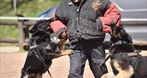 Spartakus K-9 Szkolenie Psów Łukasz Kwiatek