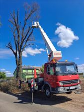 podnośnik koszowy na wynajem z operatorem, Wynajem podnośnika koszowego do 30 metrów Wysmat Tomasz Matys, Kalisz