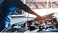 Promex Joanna Kazubska