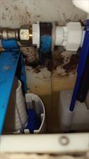 Serwis stelaża WC KOŁO, Usługi Hydrauliczne Aquaframe Service Adam Pieprzowski, Łódź