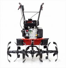 glebogryzarka, Stepo Piotr Paździejewski, Łódź