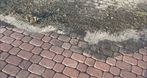 Pielęgnacja ogrodów - Mycie kostki, Mycie kostki, Mycie tarasów, przycinanie krzewów, Dąbrówka