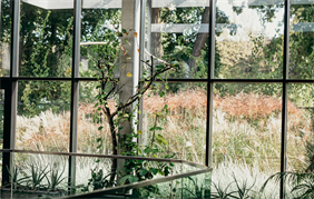 montaż okien, ABM Jędraszek Salon Sprzedaży Okien, Pabianice