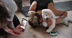Namaste Puppy Yoga - joga ze szczeniakami