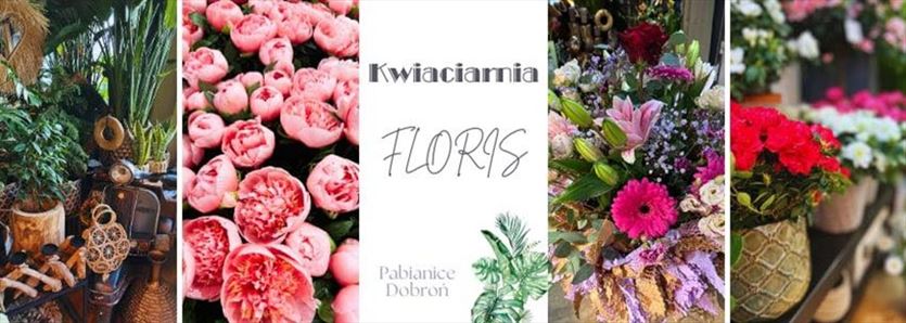 Kwiaty cięte i doniczkowe oraz kompozycje roślinne na każdą okazję, Kwiaciarnia Floris, Pabianice