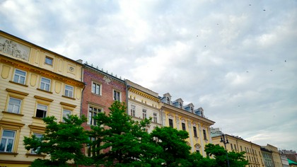 zarządzanie kamienicą