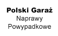 Polski Garaż Naprawy Powypadkowe, Kliny