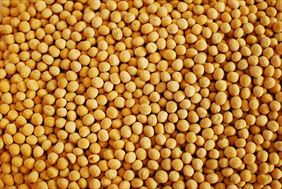 groch, Rafpak s.c., Tyczyn