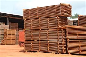 palety drewniane, Piotr Czapka Zakład drzewny, Czarna Sędziszowska