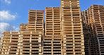 Wood i Pallets Eksport-Import Jan Kazalski