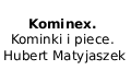 Kominex. Kominki i piece. Hubert Matyjaszek, Kolonia Domaszewska