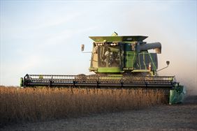 zbiór zbóż, Skład Opału Szumiło, Strupin Mały
