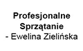 Profesjonalne Sprzątanie - Ewelina Zielińska, Zakrzów