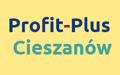 Profit-Plus Stacja Paliw Stacja Kontroli Pojazdów Myjnia Sklep, Cieszanów