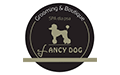 Fancy Dog Spa Dla Psa Anna Kuchcińska, Toruń