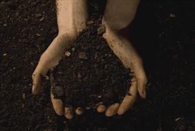 naturalne nawozy, Poltur Waldemar Turowski, Nasutów