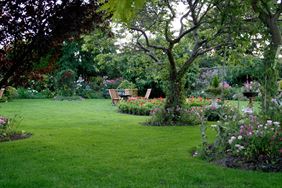 usługi ogrodnicze, Garden Usługi ogrodnicze Piotr Kurgan, Ocieka