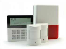 systemy alarmowe, Elektro-System Sławomir Michalczewski, Kamionka-Kolonia
