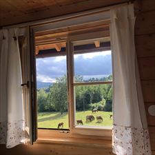 Agroturystyka - U Prezesa, Agroturystyka - U Prezesa, Chmiel