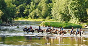 Agroturystyka - U Prezesa, Agroturystyka - U Prezesa, Chmiel