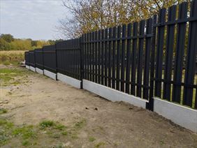 siatki leśne, Bramax Urszula Janocińska, Zezulin Pierwszy