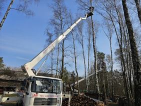 pielęgnacja drzew, AB Trans Wynajem podnośników koszowych, Lublin