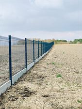 ogrodzenia z siatki, Filanowski Ogrodzenia, Dąbrówno