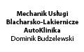 Mechanik Usługi Blacharsko-Lakiernicze AutoKlinika Dominik Budzelewski, Nowa Wieś