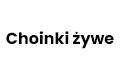 Choinki żywe, Barcikowo