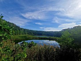 domki nad jeziorem, Jabłonka Resort, Jabłonka