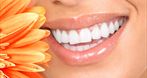 Jardent. Gabinety stomatologiczne. Jarliński B.R., chirurg stomatolog, dentysta usługi, implanty zębów, Ostróda