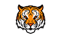 Tiger Sosnowiec Centrum Edukacji I Rozwoju Ewelina Zawiślan, Sosnowiec
