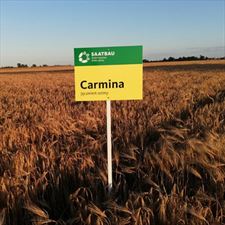 jęczmień, Saatbau Polska Sp. z o. o., Środa Śląska