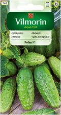 nasiona ogórków gruntowych, Vilmorin Garden Sp. z o.o., Plewiska