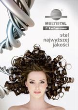 Stal i wyroby stalowe Warszawa mazowieckie, Multistal & Lohmann Sp. z o.o. Hurtownie Stali Jakościowych. Oddział Katowice, Mikołów