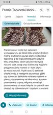 informacje, Mobile Cleaning - Jakub Przybyła, Zagórów
