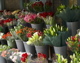 hurtownia kwiatów, Hurtownia Kwiatów Flowermix Przemysław Woźniewski, Konin