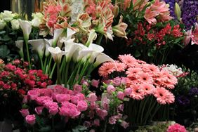 kwiaty cięte, Hurtownia Kwiatów Flowermix Przemysław Woźniewski, Konin