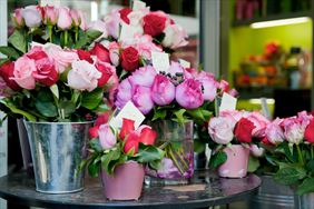 hurtowa sprzedaż kwiatów, Hurtownia Kwiatów Flowermix Przemysław Woźniewski, Konin