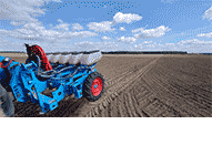 Roltech Mateusz Owsianny