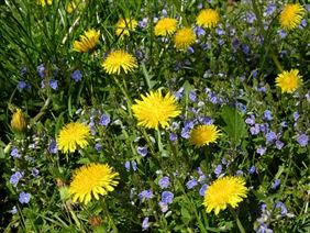 poradnia specjalistyczna, Alergo-Med Sp. z o. o. Specjalistyczna Przychodnia Lekarska, Poznań