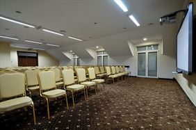 sala konferencyjna, Niagara Tomasz Szymański, Węglew-Kolonia