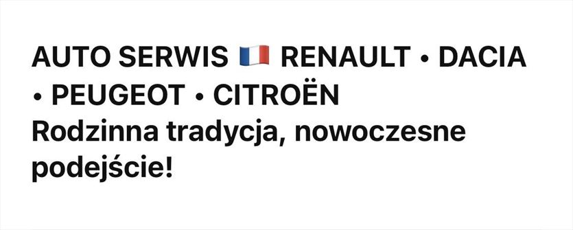 Naprawa pojazdów francuskich marek - szybkie usuwanie usterek , Auto Serwis Renault Peugeot Citroen Dacia, Poznań